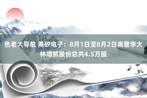 色老大导航 甬矽电子：8月1日至8月2日高管李大林增抓股份总共4.5万股