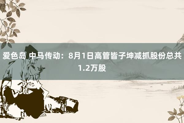 爱色岛 中马传动：8月1日高管皆子坤减抓股份总共1.2万股