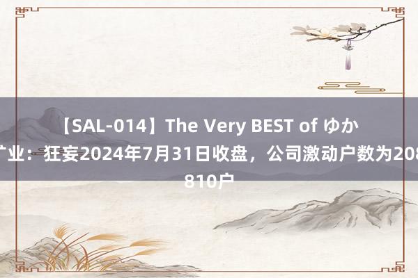 【SAL-014】The Very BEST of ゆか 国城矿业：狂妄2024年7月31日收盘，公司激动户数为20810户