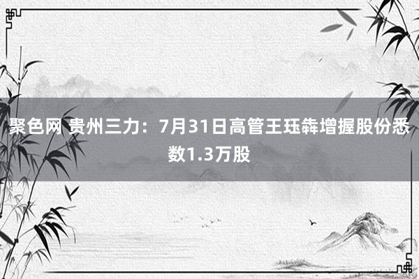 聚色网 贵州三力：7月31日高管王珏犇增握股份悉数1.3万股