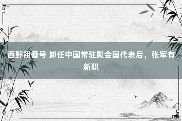 西野翔番号 卸任中国常驻聚会国代表后，张军有新职