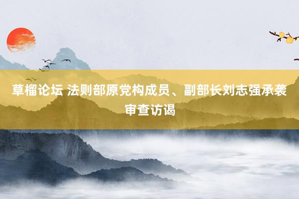 草榴论坛 法则部原党构成员、副部长刘志强承袭审查访谒