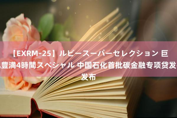 【EXRM-25】ルビースーパーセレクション 巨乳豊満4時間スペシャル 中国石化首批碳金融专项贷发布