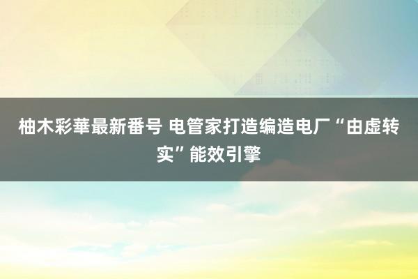 柚木彩華最新番号 电管家打造编造电厂“由虚转实”能效引擎