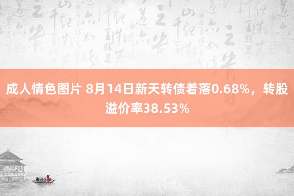 成人情色图片 8月14日新天转债着落0.68%，转股溢价率38.53%