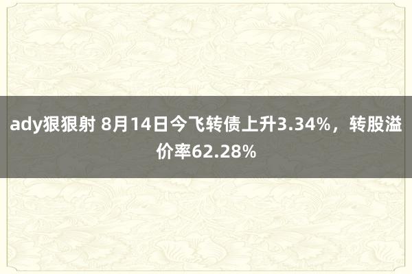 ady狠狠射 8月14日今飞转债上升3.34%，转股溢价率62.28%