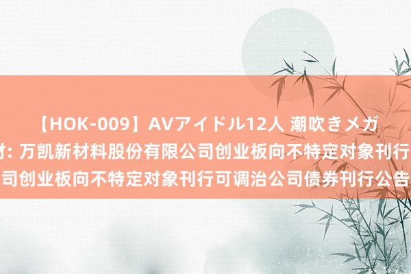 【HOK-009】AVアイドル12人 潮吹きメガファック！！！ 万凯新材: 万凯新材料股份有限公司创业板向不特定对象刊行可调治公司债券刊行公告