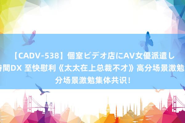 【CADV-538】個室ビデオ店にAV女優派遣します。8時間DX 至快慰利《太太在上总裁不才》高分场景激勉集体共识！