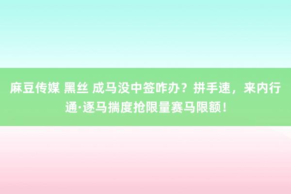 麻豆传媒 黑丝 成马没中签咋办？拼手速，来内行通·逐马揣度抢限量赛马限额！