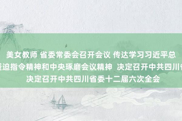 美女教师 省委常委会召开会议 传达学习习近平总通告琢磨蹙迫言语蹙迫指令精神和中央琢磨会议精神  决定召开中共四川省委十二届六次全会