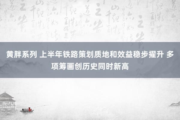 黄胖系列 上半年铁路策划质地和效益稳步擢升 多项筹画创历史同时新高