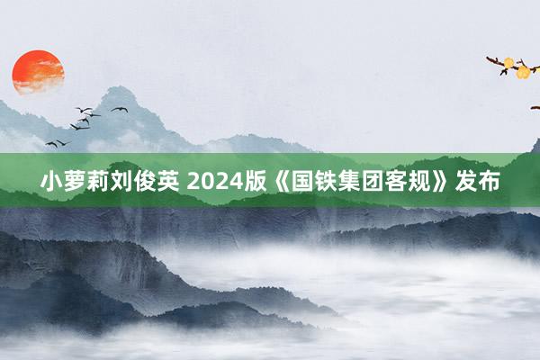 小萝莉刘俊英 2024版《国铁集团客规》发布