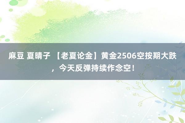 麻豆 夏晴子 【老夏论金】黄金2506空按期大跌，今天反弹持续作念空！