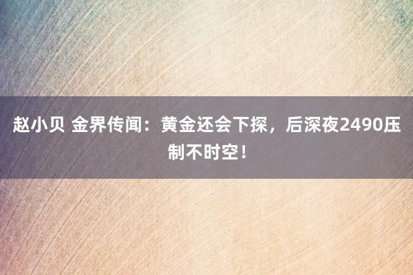 赵小贝 金界传闻：黄金还会下探，后深夜2490压制不时空！