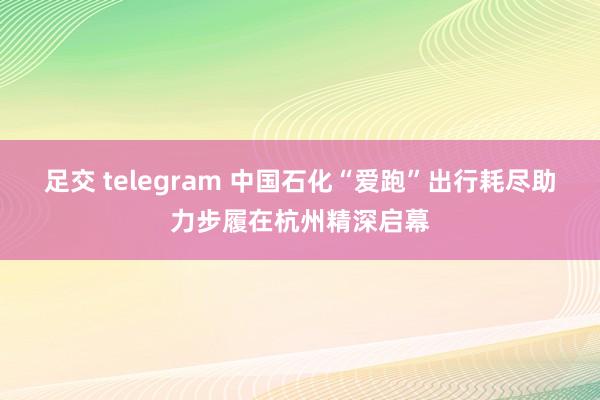 足交 telegram 中国石化“爱跑”出行耗尽助力步履在杭州精深启幕