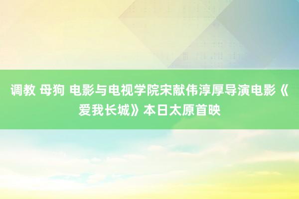 调教 母狗 电影与电视学院宋献伟淳厚导演电影《爱我长城》本日太原首映