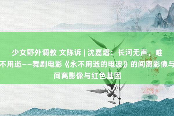 少女野外调教 文陈诉 | 沈嘉熠：长河无声，唯信与爱永不用逝——舞剧电影《永不用逝的电波》的间离影像与红色基因