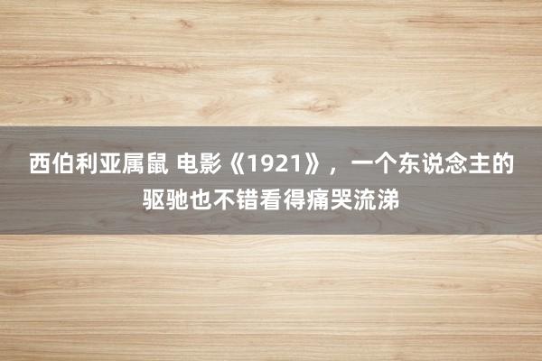 西伯利亚属鼠 电影《1921》，一个东说念主的驱驰也不错看得痛哭流涕