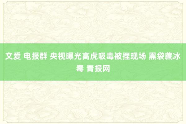 文爱 电报群 央视曝光高虎吸毒被捏现场 黑袋藏冰毒 青报网