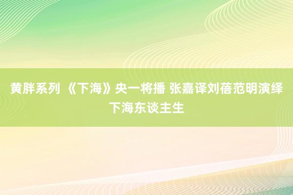 黄胖系列 《下海》央一将播 张嘉译刘蓓范明演绎下海东谈主生