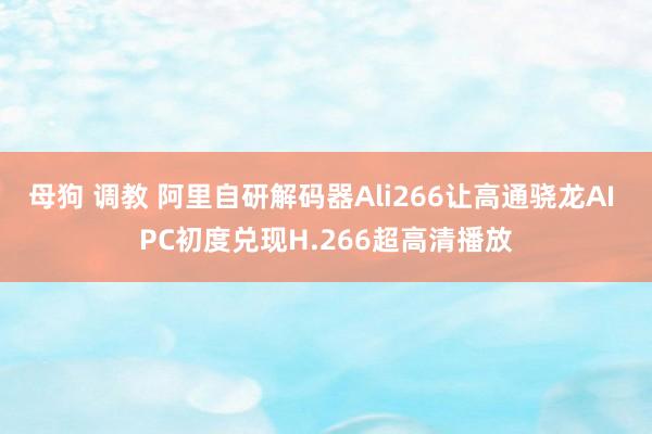 母狗 调教 阿里自研解码器Ali266让高通骁龙AI PC初度兑现H.266超高清播放