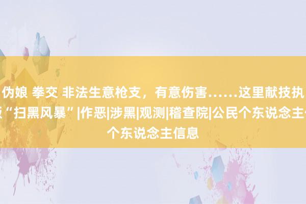 伪娘 拳交 非法生意枪支，有意伤害……这里献技执行版“扫黑风暴”|作恶|涉黑|观测|稽查院|公民个东说念主信息